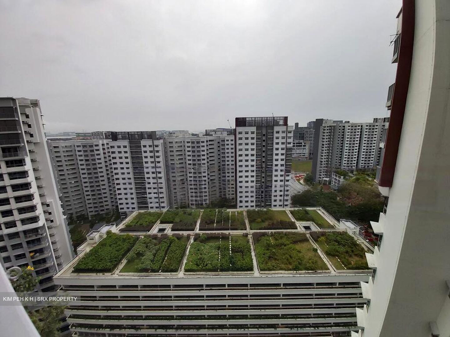 Blk 138D Lake Vista @ Yuan Ching (Jurong West), HDB 3 Rooms #444320801